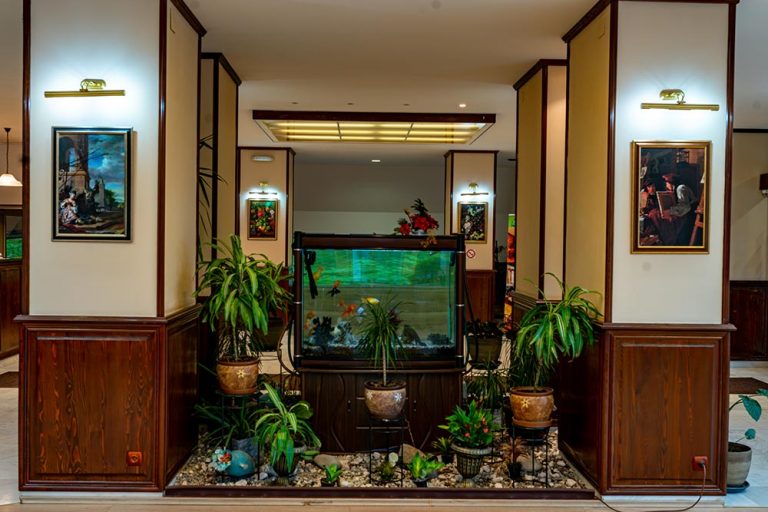 Hotel Belvedere Predeal