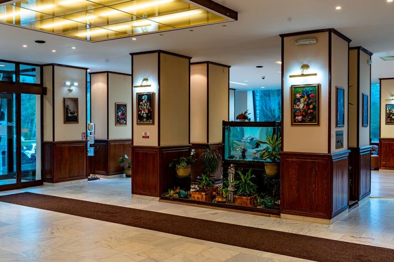 Hotel Belvedere Predeal